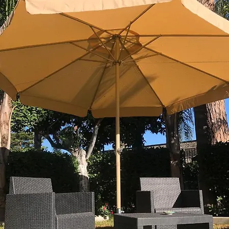 Oasis פומפיי
