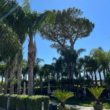 Oasis 3*