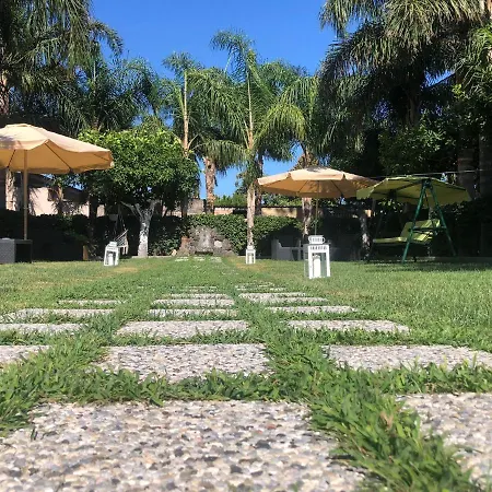 Oasis *