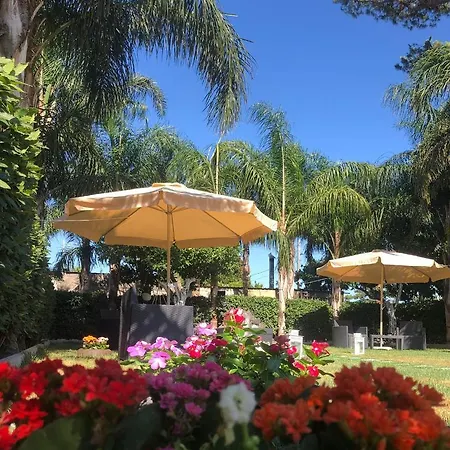 Oasis * Pompei